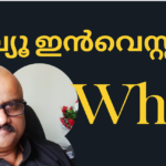 A financial analyst reviewing stock market data and valuation metrics for value investing decisions.